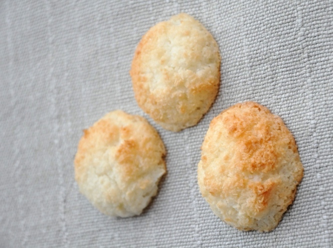 Biscotti al cocco senza glutine e senza lattosio