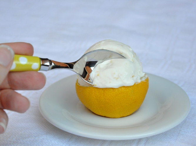 Gelato al limone senza lattosio