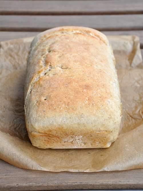 Pane in cassetta senza glutine