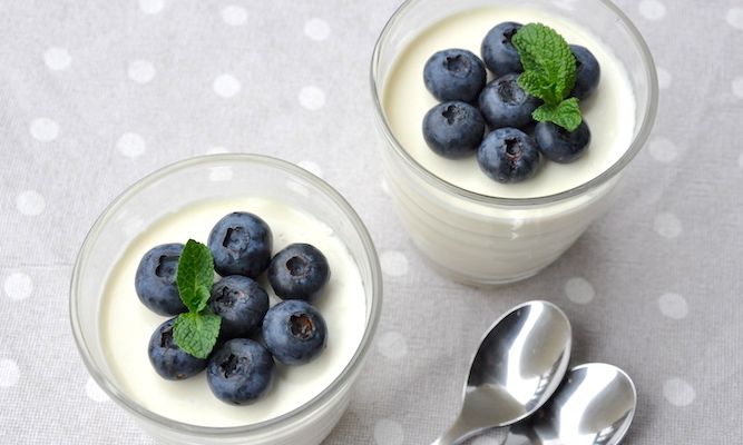 Panna cotta allo Yogurt Greco