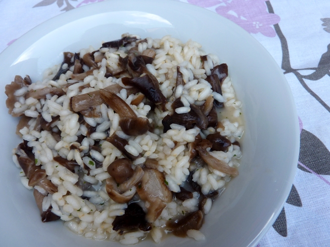 Risotto ai chiodini