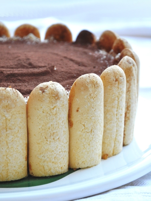 Torta Tiramisù senza glutine